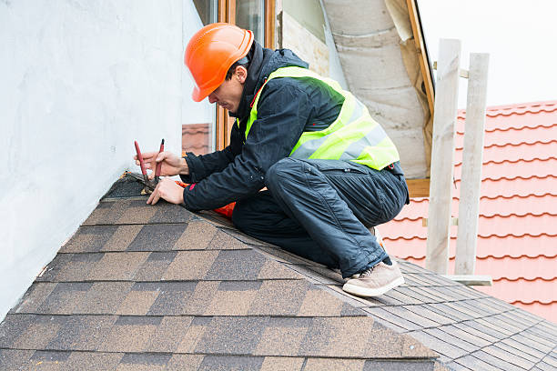 Roof Gutter Cleaning in Harris Hill, NY